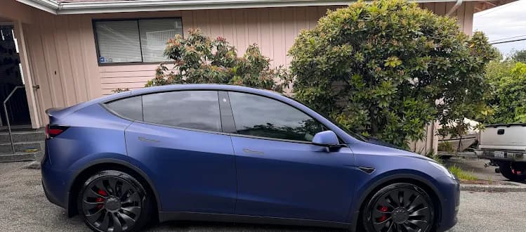 Tesla Paint Protection Film (PPF) - SAMMY MEDINA photo at Bespoke Tint & PPF, Bellevue, WA (1/5)